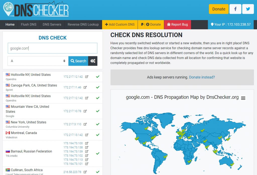 DNS Checker testing Google's DNS entry propagation